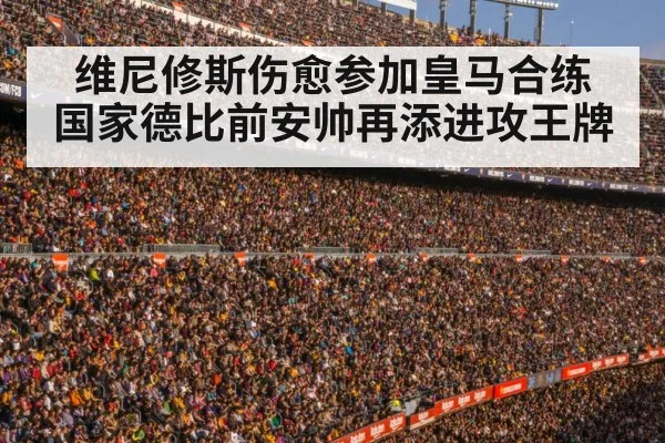 football stadium crowd